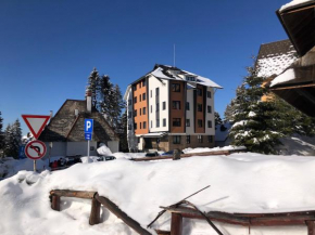 Vila Montana Kopaonik Apartman 6